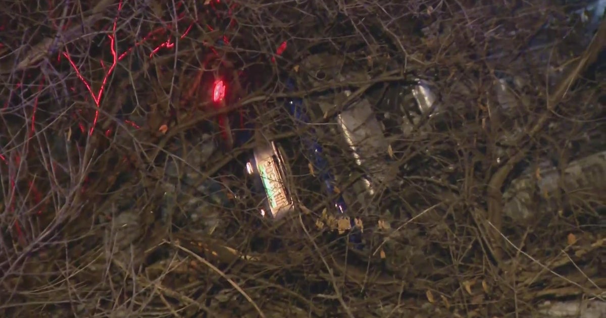 Driver rescued after crash on Dusable Lake Shore Drive - CBS Chicago
