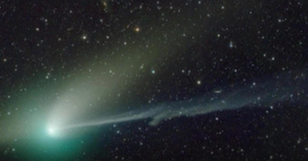 Look to northern sky for rare green comet CBS Miami