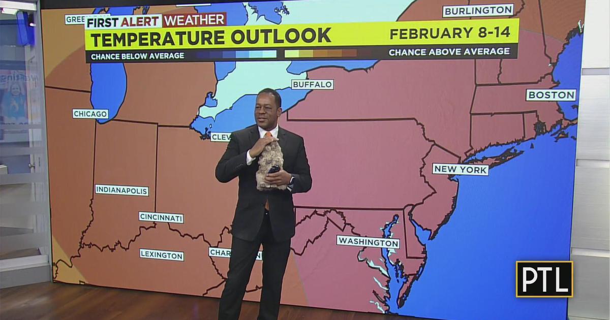 Groundhogs Day CBS Pittsburgh