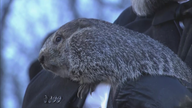 Annual Groundhog's Day Tradition In Punxsutawney, Pennsylvania Will Take Place Without The Usual Crowd 