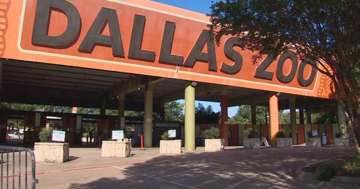 Texas zoo inspections reveal incidents involving animal treatment, escapes,  deaths - CBS Texas