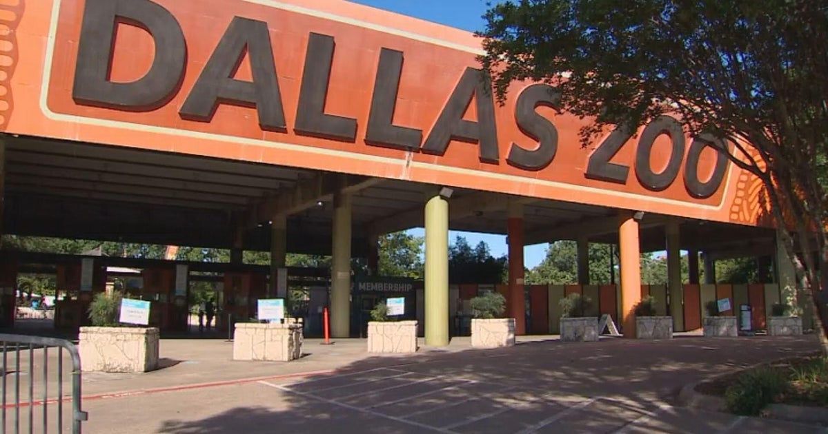 Dallas Zoo brings back Dollar Days CBS Texas