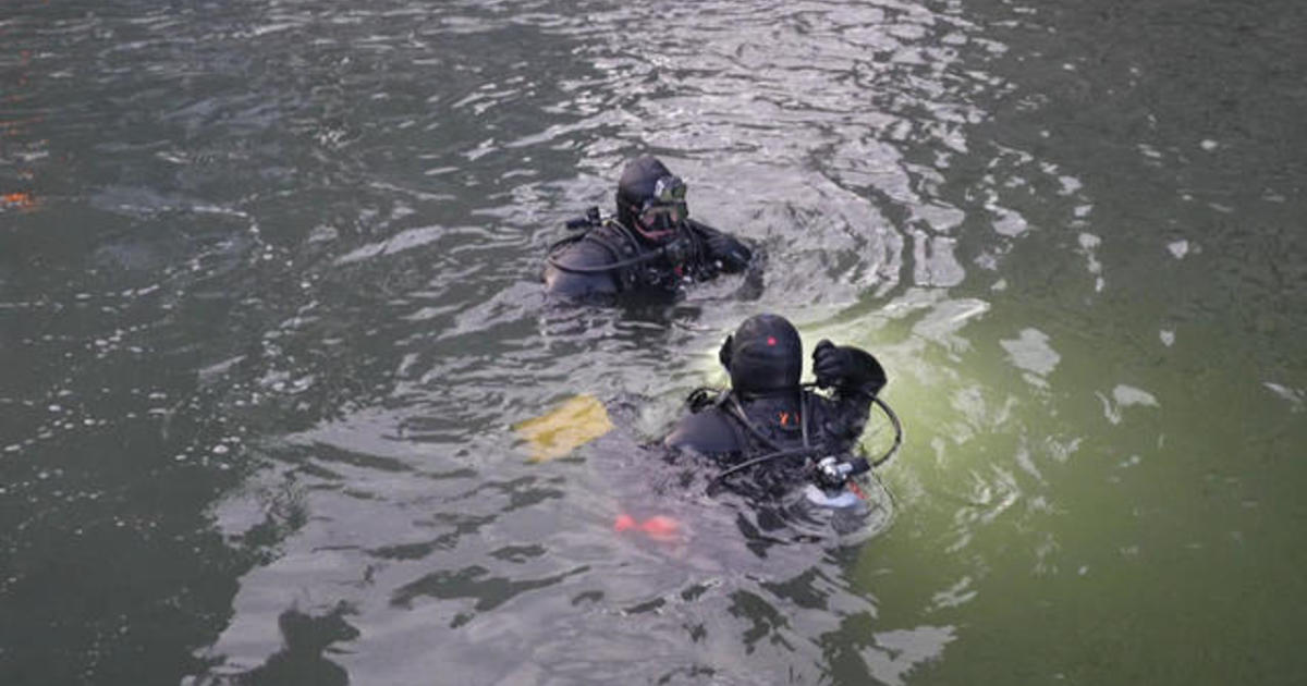 New York City divers searching East River for wooly mammoth fossils