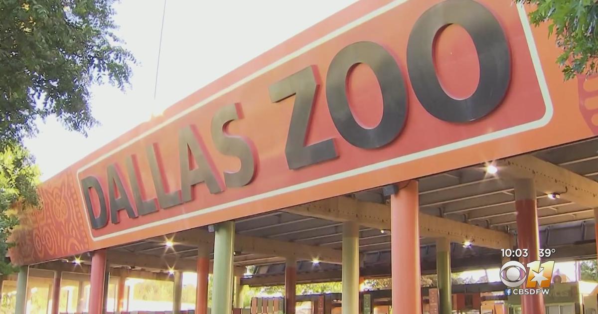 Dallas Zoo says it’s upping security after recent incidents regarding missing animals
