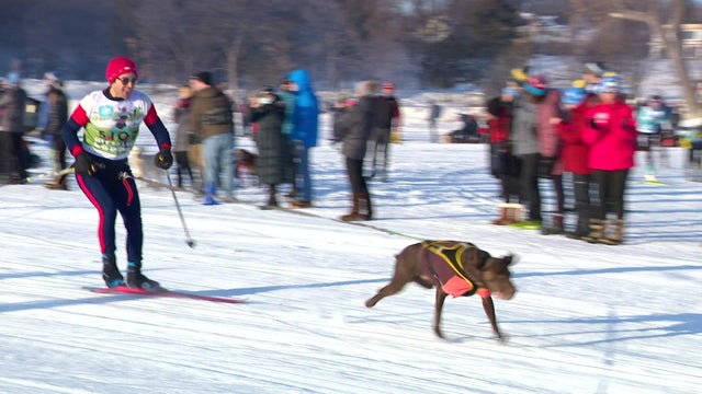 loppet-skijoring-vo-530-wcco2sps.jpg 