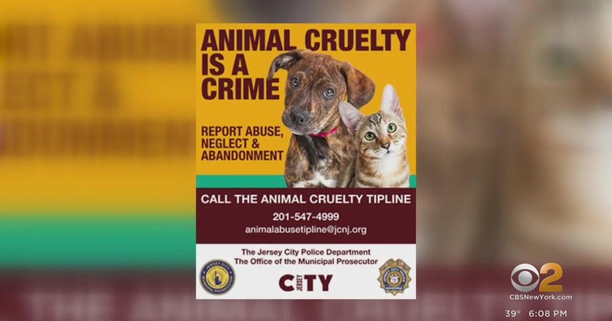 Jersey City launches anonymous tip line for animal cruelty CBS New York