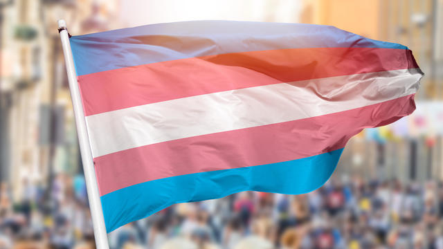 transgender flag blowing 