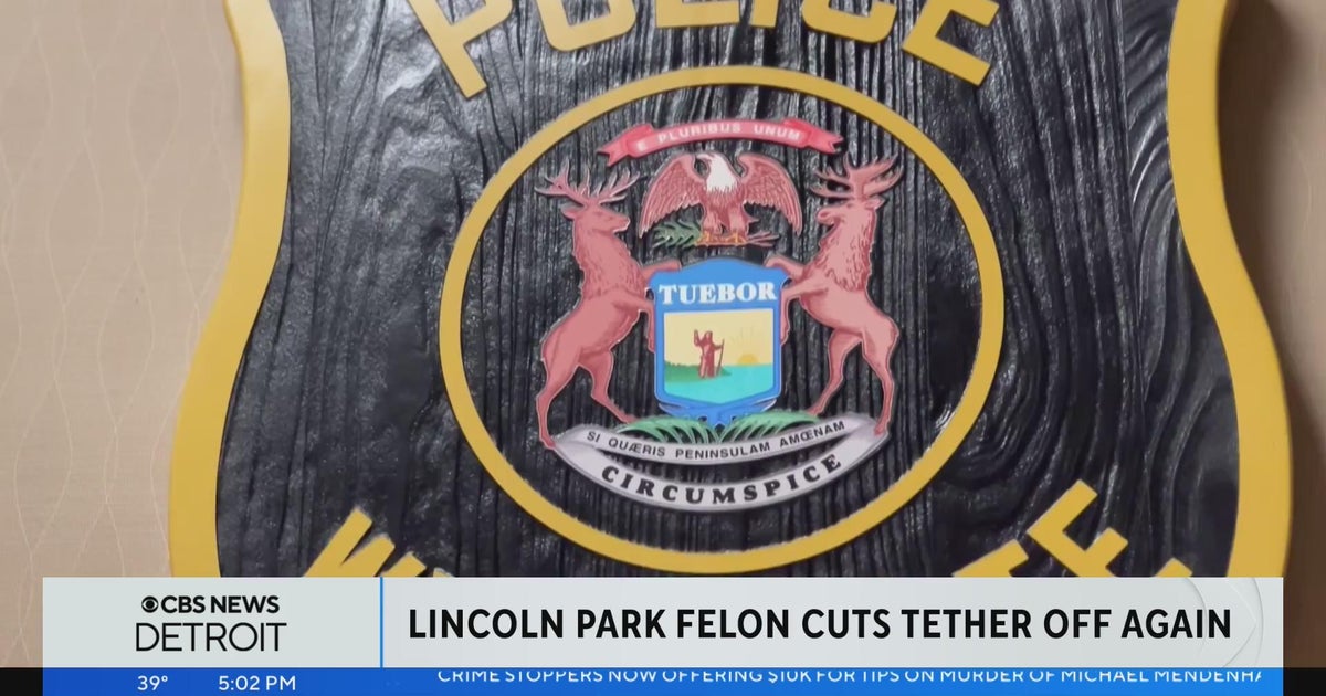 Wayne County man with extensive criminal record arrested after removing