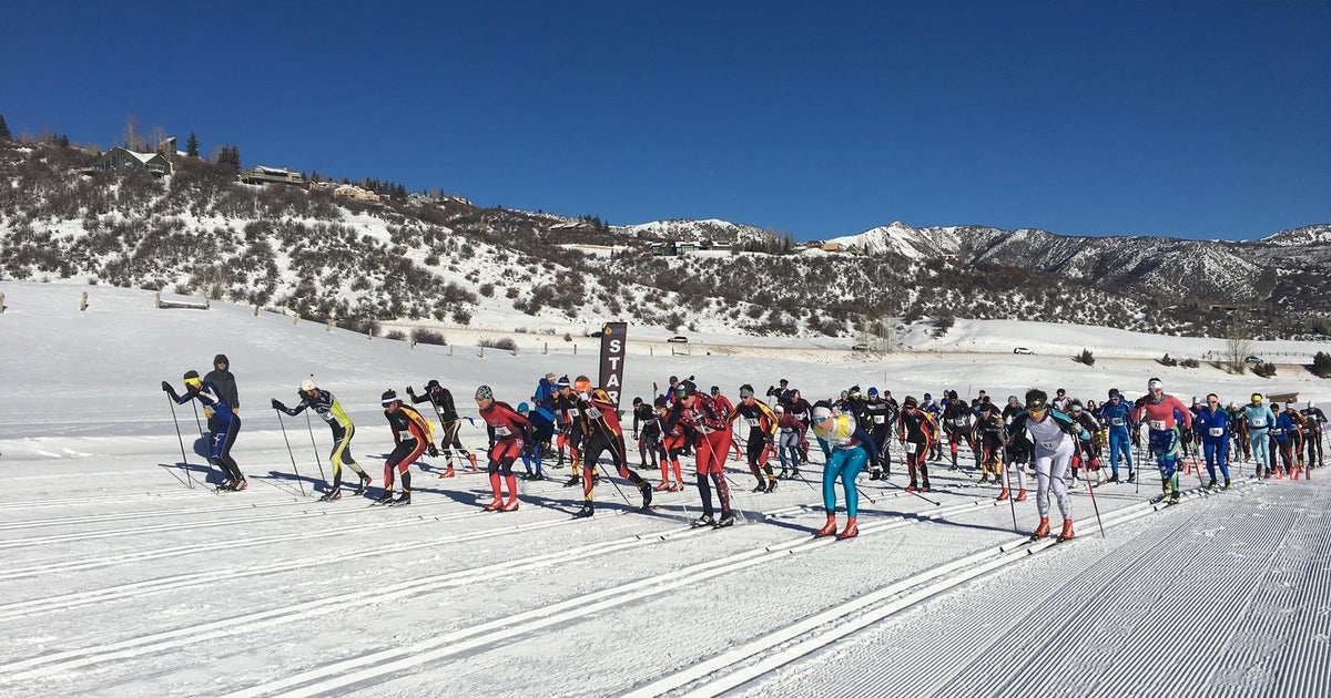 Moose force relocation of ski race - Vimarsana News
