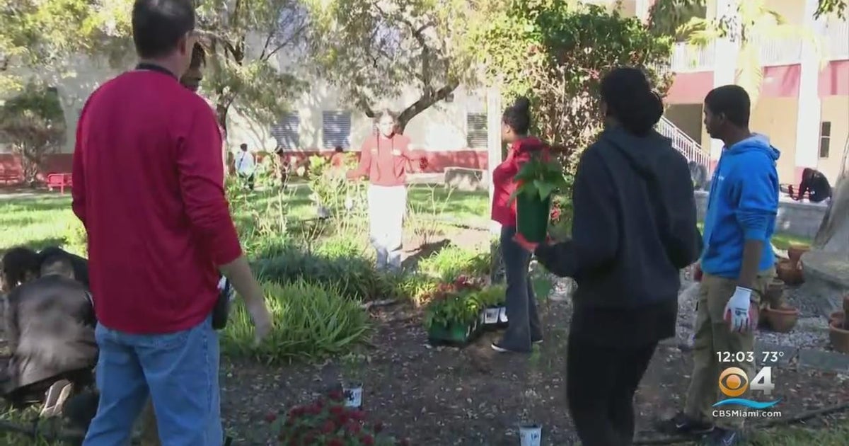 Monarch Significant College learners carried out campus beautification to mark 5 decades considering that Parkland shooting