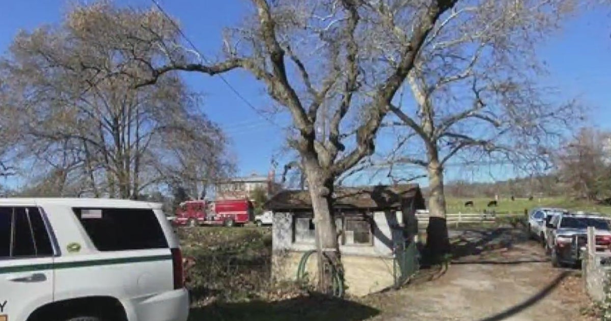 1 person killed by falling tree in Placer County
