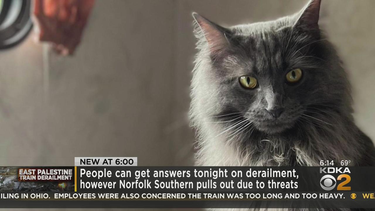 Woman living in East Palestine says pet cat died after train derailment -  CBS Pittsburgh