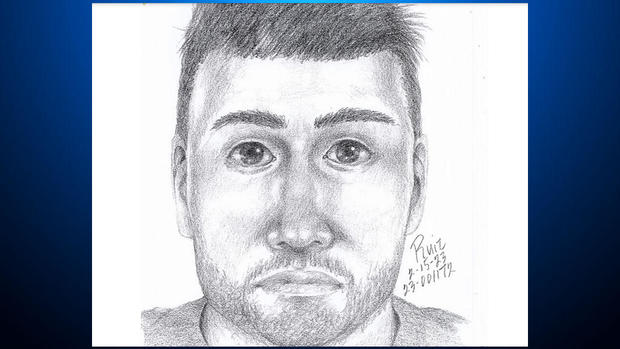 gray-whale-sexual-assault-suspect-san-mateo-sheriff-sketch.jpg 