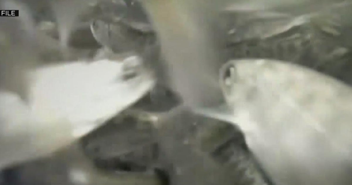 California debates what to do with water from recent storms