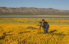 Exploring Carrizo Plain National Monument 