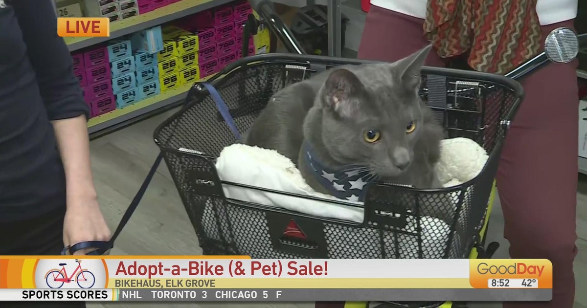 Adoptabike (and pet) sale at Bikehaus in Elk Grove! Good Day Sacramento