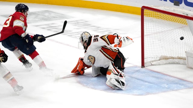 CORRECTION Ducks Panthers Hockey 