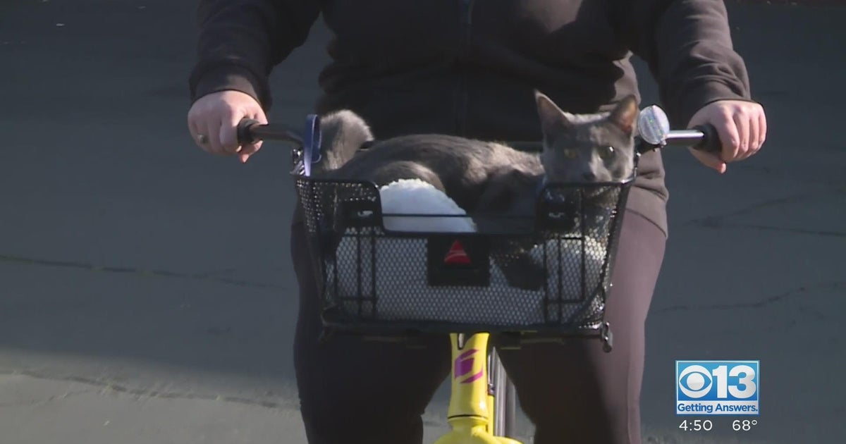 Bikehaus in Elk Grove is celebrating those who adopt and foster animals