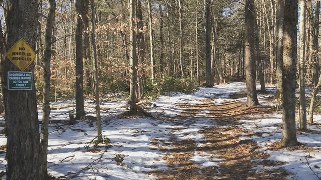 winter2.jpg