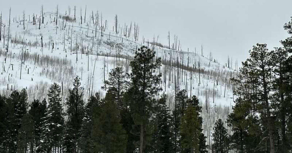 Two backcountry skiers killed in Colorado avalanche