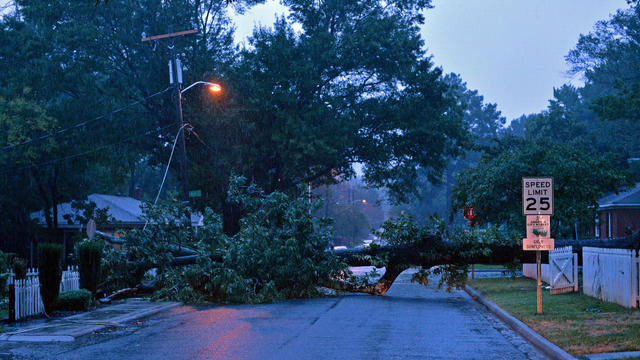 Downed tree on a residential street at twilight 