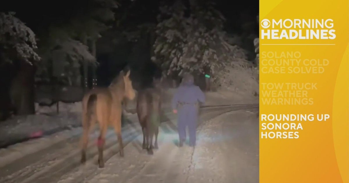 Morning headlines - 02/28/2023