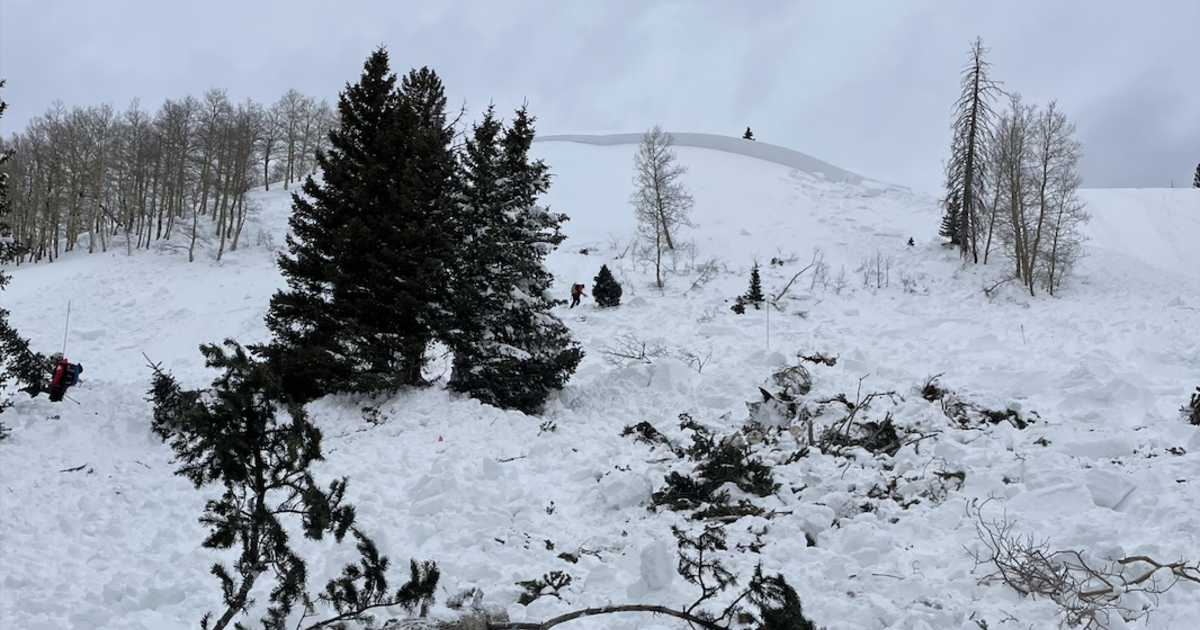 Two Snowmobilers Killed in Colorado Avalanche - The New York Times