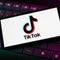 This is where TikTok has been banned around the world