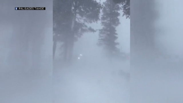 sierra-whiteout-snow.png 