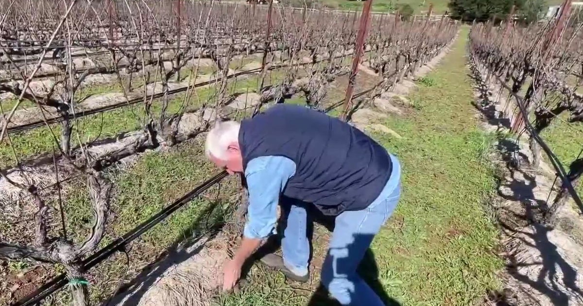 California wineries make changes to battle extreme weather