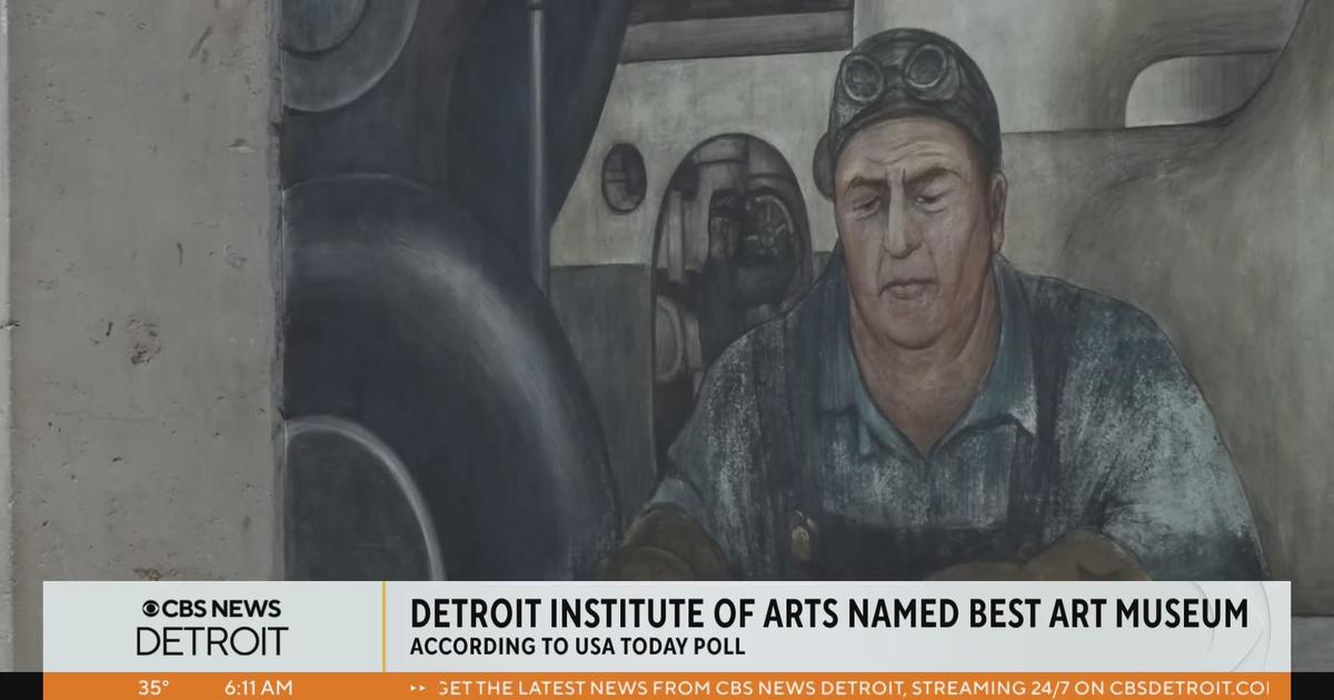 Detroit Institute of Arts named best art museum nationwide