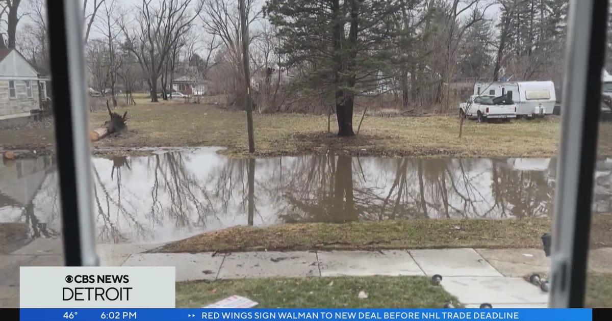 Detroit residents upset about persistent flooding in neighborhood