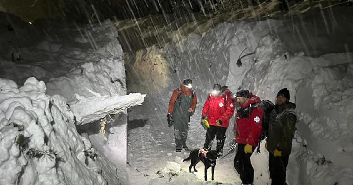 Avalanche slams into occupied threestory apartment building in Olympic