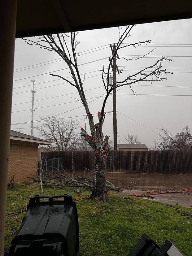 weatherford-tree-damage.jpg 