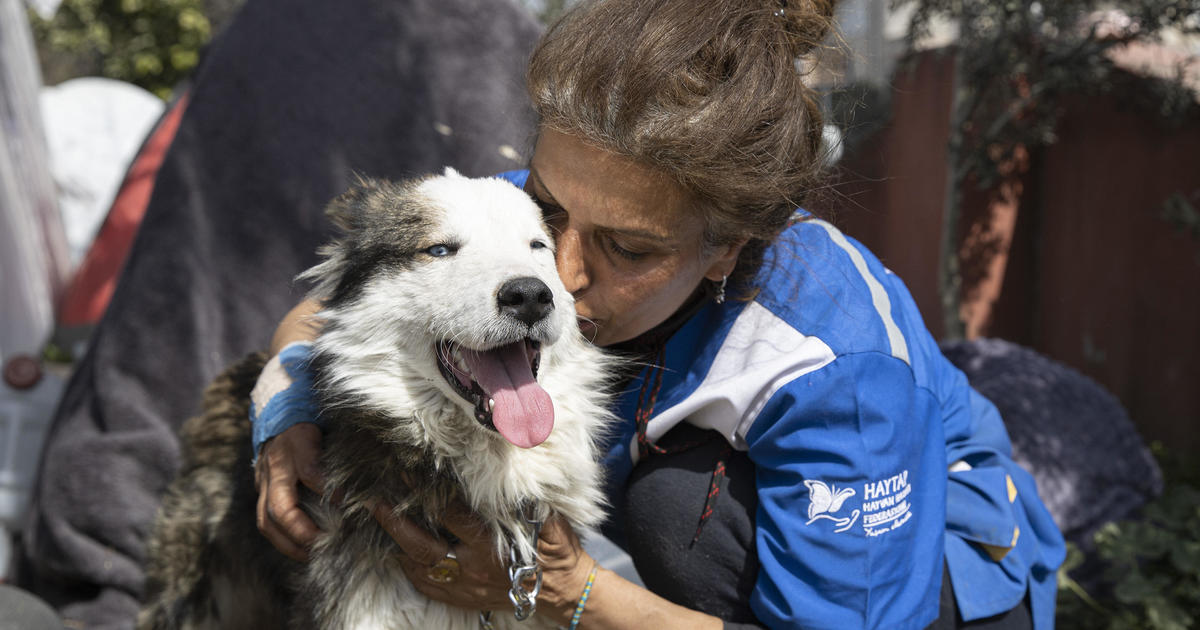 Dog rescued from Turkey earthquake rubble 3 weeks later as human death toll soars over 50,000