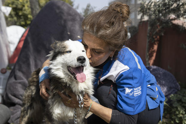 Dog rescued alive from the rubble on the 22nd day of the earthquake in Hatay 