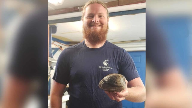 clam-man.jpg 