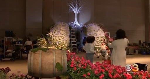 Philadelphia Flower Show Opens At Pennsylvania Convention Center Cbs Philadelphia Flower Show Opens At Pennsylvania Convention Center Cbs