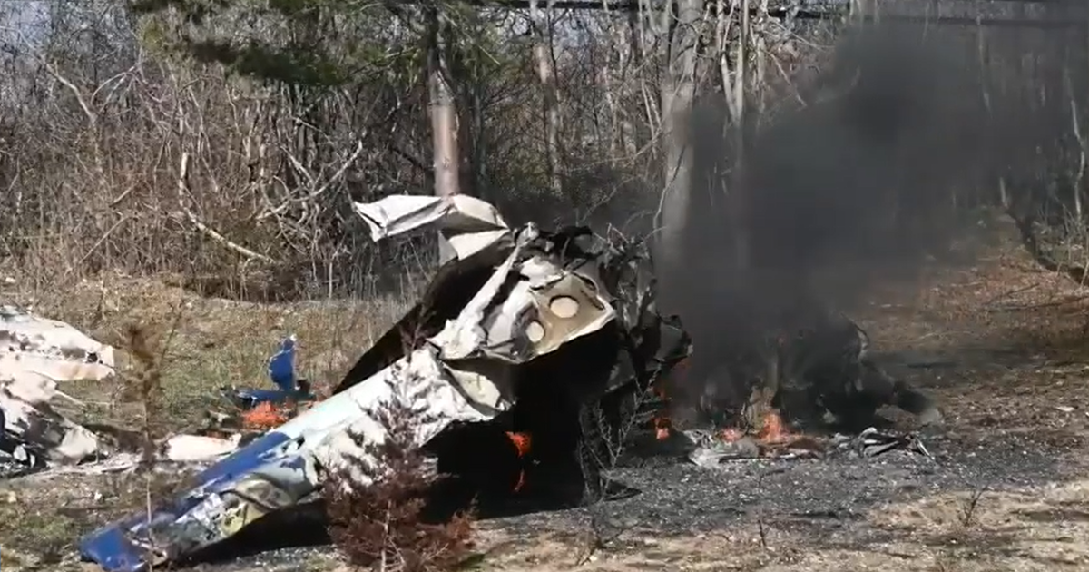 Long Island Plane Crash 2024 - Livy Sherye