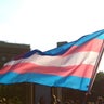 Transgender flag 