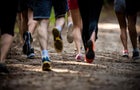 Large group of unrecognizable athletes running a marathon in nature. 