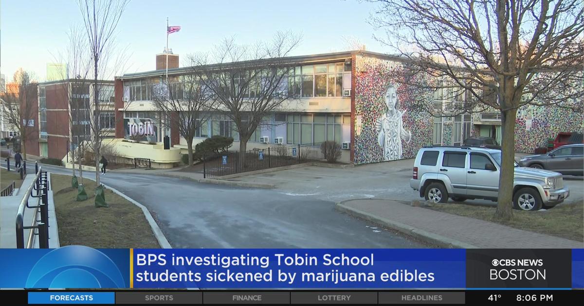 BPS Investigating Students Sickened By Marijuana Edibles - CBS Boston