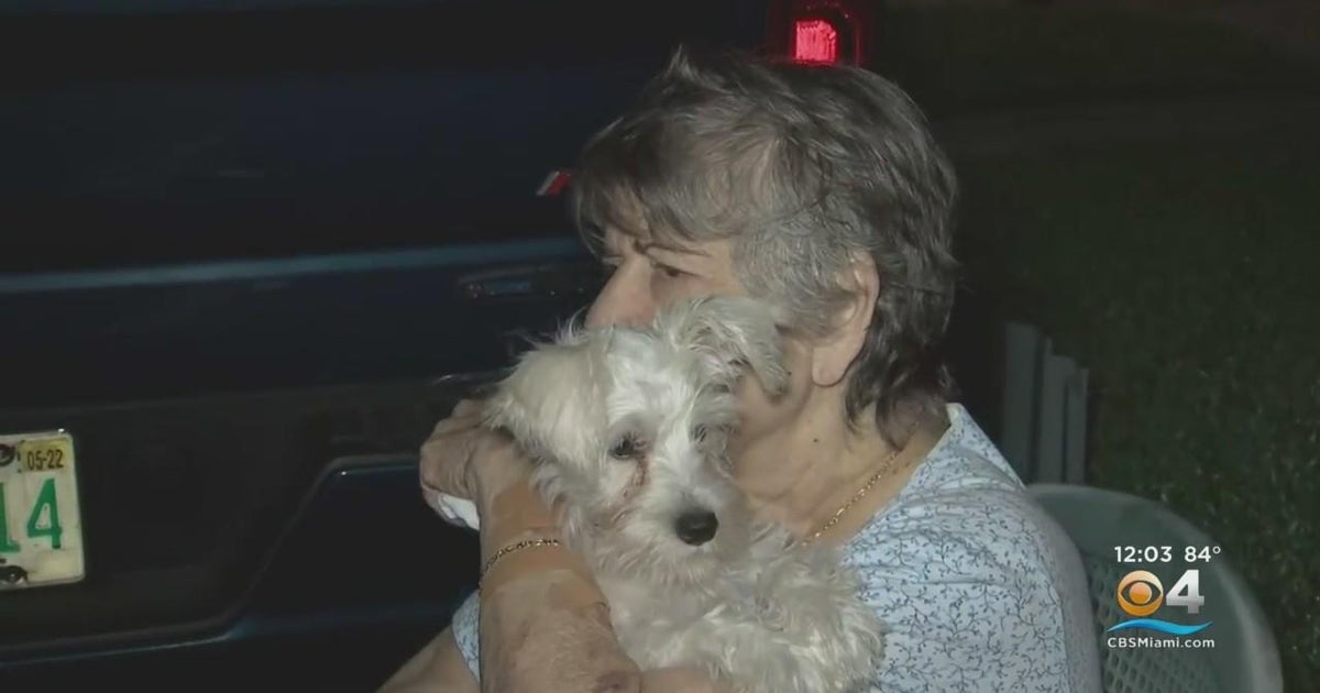 Hialeah woman, dog safe after house fire - CBS Miami