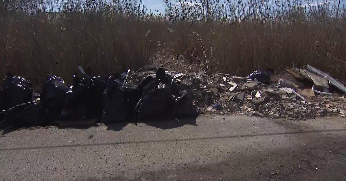 Brookhaven town officials propose increased fines for illegal dumping
