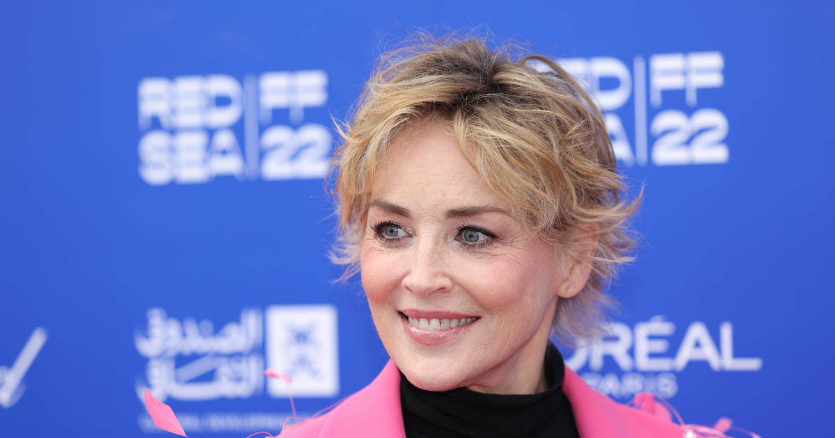 Sharon Stone says she lost custody of her child because of her famous scene in