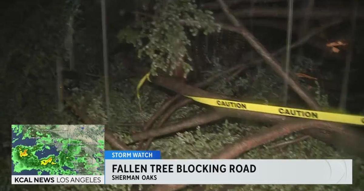 Sherman Oaks Residents Dealing With Heavy Rain Strong Winds And Downed