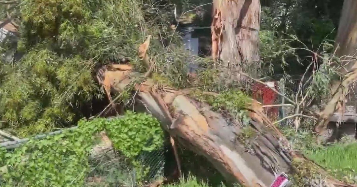 Incoming storm packing damaging winds; Residents brace for toppled trees, downed power lines