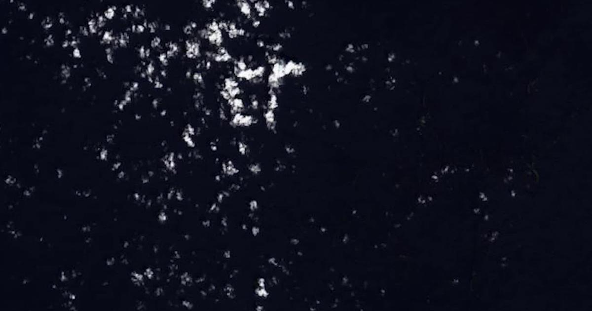 EW! Huge seaweed blobs visible from space CW Atlanta
