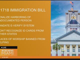 Legislature Ponders if Illegal Immigrants in Florida Should Be