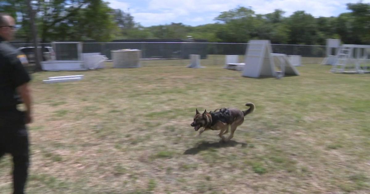 Coconut Creek PD to host opposition for highly qualified police canines